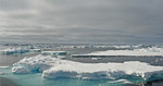 Spitsbergen 2015